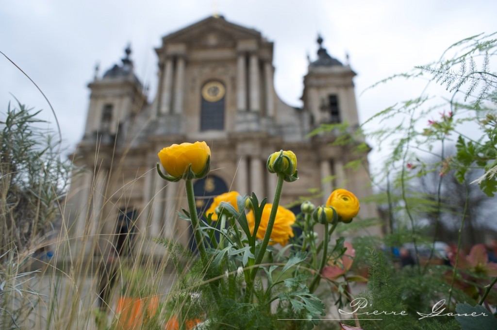Saint Louis versaille