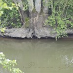 stjo-etabli_PGD0405